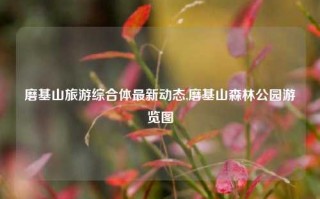 磨基山旅游综合体最新动态,磨基山森林公园游览图