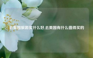 去美国旅游买什么好,去美国有什么值得买的