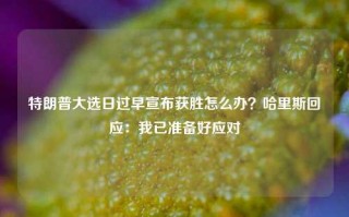 特朗普大选日过早宣布获胜怎么办？哈里斯回应：我已准备好应对