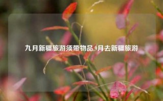 九月新疆旅游须带物品,9月去新疆旅游