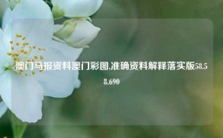 澳门马报资料澳门彩图,准确资料解释落实版58.58.690