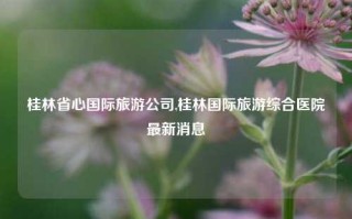 桂林省心国际旅游公司,桂林国际旅游综合医院最新消息