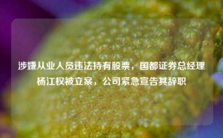 涉嫌从业人员违法持有股票，国都证券总经理杨江权被立案，公司紧急宣告其辞职