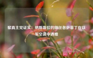 黎真主党证实：纳斯鲁拉的继任者萨菲丁在以军空袭中遇难