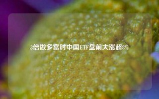 3倍做多富时中国ETF盘前大涨超8%