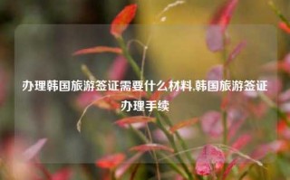 办理韩国旅游签证需要什么材料,韩国旅游签证办理手续