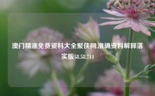 澳门精准免费资料大全聚侠网,准确资料解释落实版58.58.714