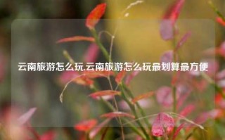 云南旅游怎么玩,云南旅游怎么玩最划算最方便