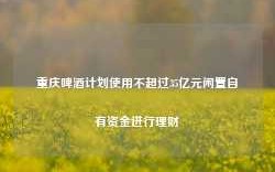 重庆啤酒计划使用不超过35亿元闲置自有资金进行理财