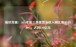 廊坊发展：2024年前三季度营业收入同比增长171.89%，达到2.98亿元