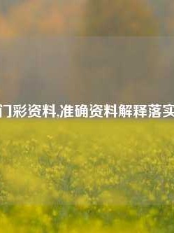 玄武版澳门彩资料,准确资料解释落实版58.58.680