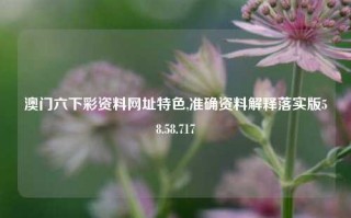 澳门六下彩资料网址特色,准确资料解释落实版58.58.717