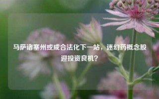 马萨诸塞州或成合法化下一站，迷幻药概念股迎投资良机？