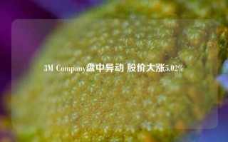 3M Company盘中异动 股价大涨5.02%