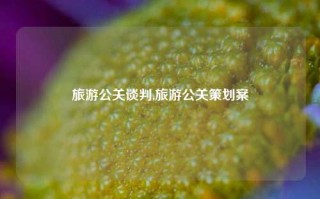 旅游公关谈判,旅游公关策划案