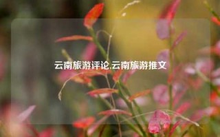 云南旅游评论,云南旅游推文