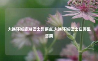 大连环城旅游巴士售票点,大连环城巴士在哪里售票