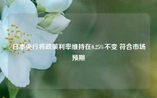 日本央行将政策利率维持在0.25%不变 符合市场预期