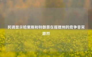 民调显示哈里斯和特朗普在摇摆州的竞争非常激烈