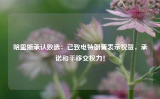 哈里斯承认败选：已致电特朗普表示祝贺，承诺和平移交权力！