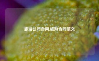 旅游公司合同,旅游合同范文