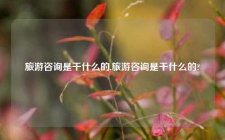 旅游咨询是干什么的,旅游咨询是干什么的?