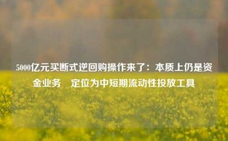 5000亿元买断式逆回购操作来了：本质上仍是资金业务 定位为中短期流动性投放工具