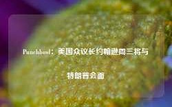 Punchbowl：美国众议长约翰逊周三将与特朗普会面