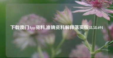 下载澳门App资料,准确资料解释落实版58.58.694