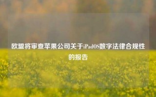 欧盟将审查苹果公司关于iPadOS数字法律合规性的报告