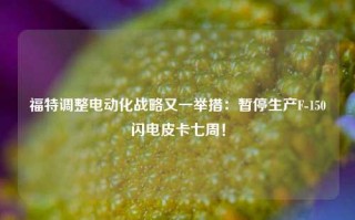 福特调整电动化战略又一举措：暂停生产F-150闪电皮卡七周！