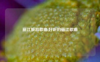 丽江旅游歌曲,好听的丽江歌曲