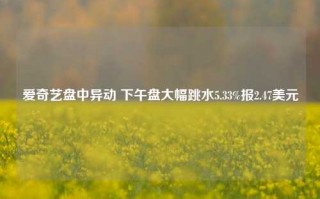 爱奇艺盘中异动 下午盘大幅跳水5.33%报2.47美元