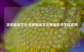 洛阳旅游文化,洛阳旅游文化职业技术学院官网