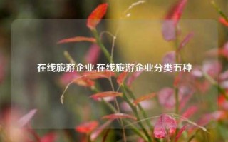 在线旅游企业,在线旅游企业分类五种