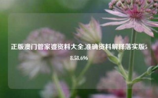 正版澳门管家婆资料大全,准确资料解释落实版58.58.696