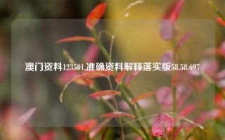 澳门资料123501,准确资料解释落实版58.58.697