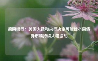 德商银行：美国大选和央行决定可能使本周债券市场持续大幅波动