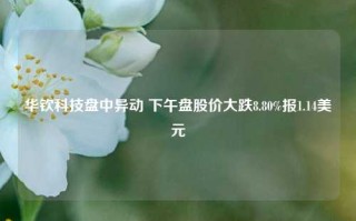 华钦科技盘中异动 下午盘股价大跌8.80%报1.14美元