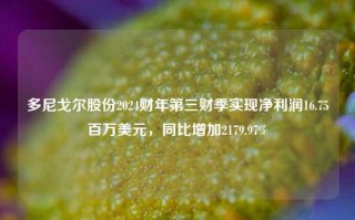 多尼戈尔股份2024财年第三财季实现净利润16.75百万美元，同比增加2179.97%