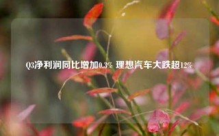 Q3净利润同比增加0.3% 理想汽车大跌超12%