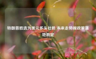 特朗普胜选为美元多头壮胆 未来走势视政策落地而定