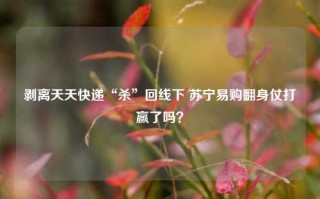 剥离天天快递“杀”回线下 苏宁易购翻身仗打赢了吗？