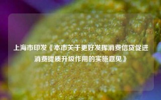 上海市印发《本市关于更好发挥消费信贷促进消费提质升级作用的实施意见》