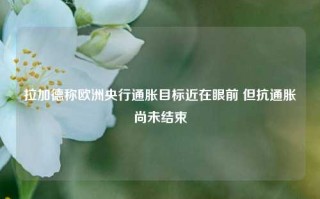 拉加德称欧洲央行通胀目标近在眼前 但抗通胀尚未结束