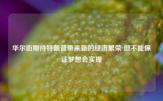 华尔街期待特朗普带来新的经济繁荣 但不能保证梦想会实现