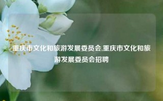 重庆市文化和旅游发展委员会,重庆市文化和旅游发展委员会招聘