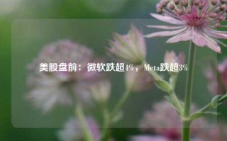 美股盘前：微软跌超4%，Meta跌超3%