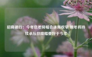 招商银行：今年息差降幅会逐渐收窄 明年将持续承压但降幅要好于今年