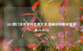 2023澳门全年资料免费大全,准确资料解释落实版58.58.718